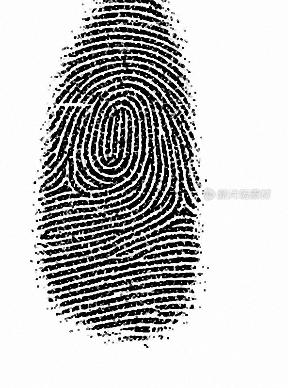 Fingerprint texture 8